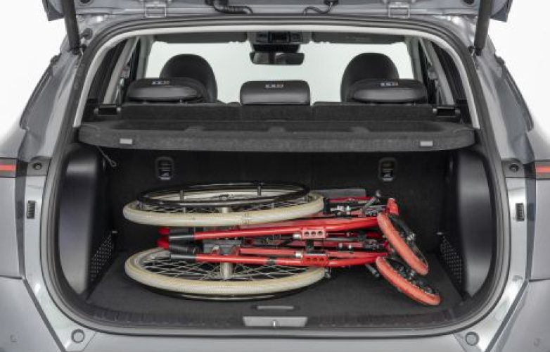 Wheelchair in boot