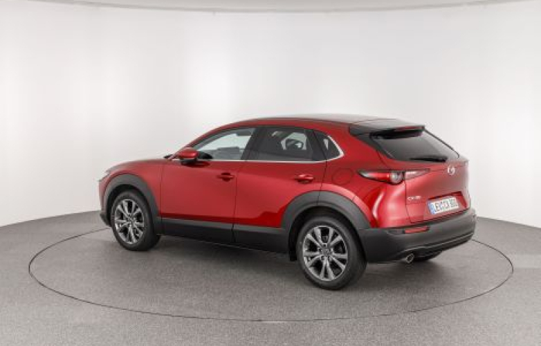 Rear